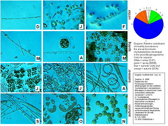 phytoplankton-cyanobacteria-Bergknappweiher-Teubner