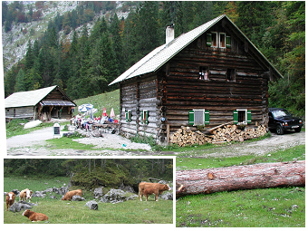 Salzkammergut-Alpine Lake Catchment-Teubner